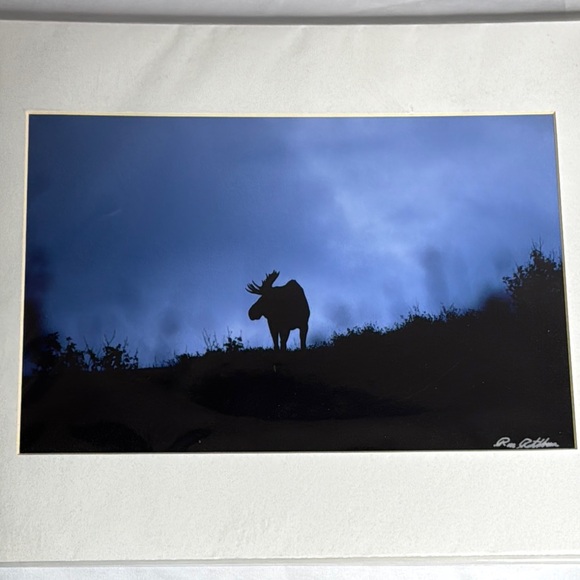 Moose at First Light Signed Art Print by Ronald Rathbun - Picture 6 of 6